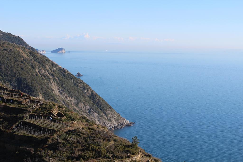 Terre Apartment Corniglia Bilik gambar